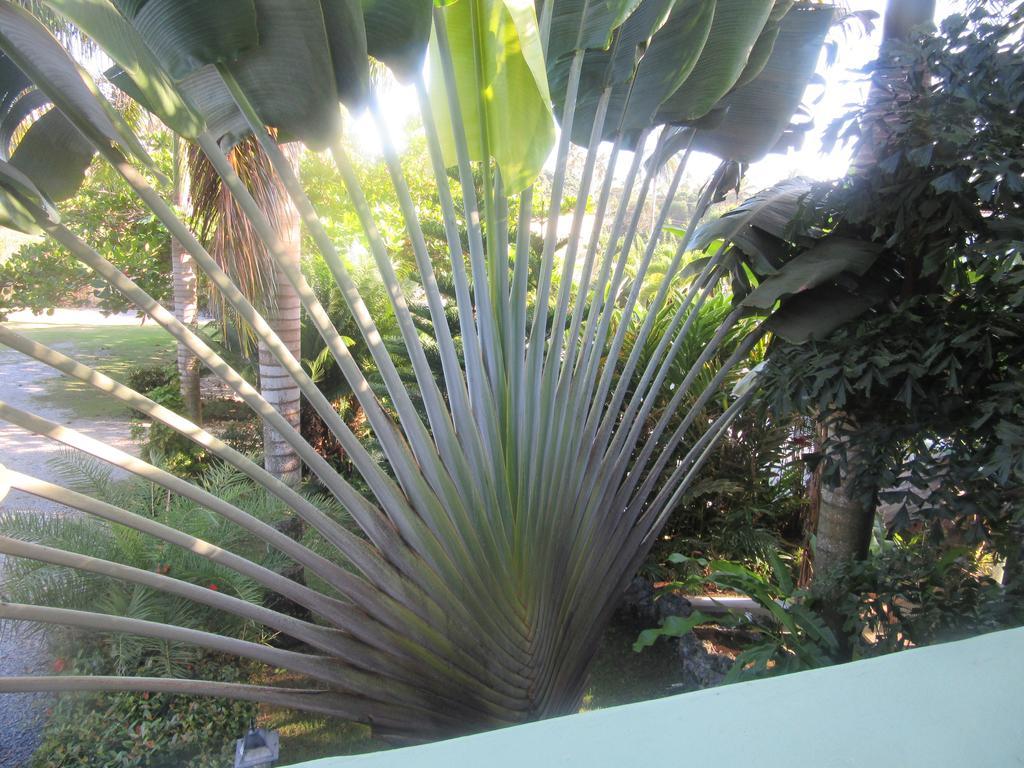 Hotel Cambri Nagua Eksteriør bilde