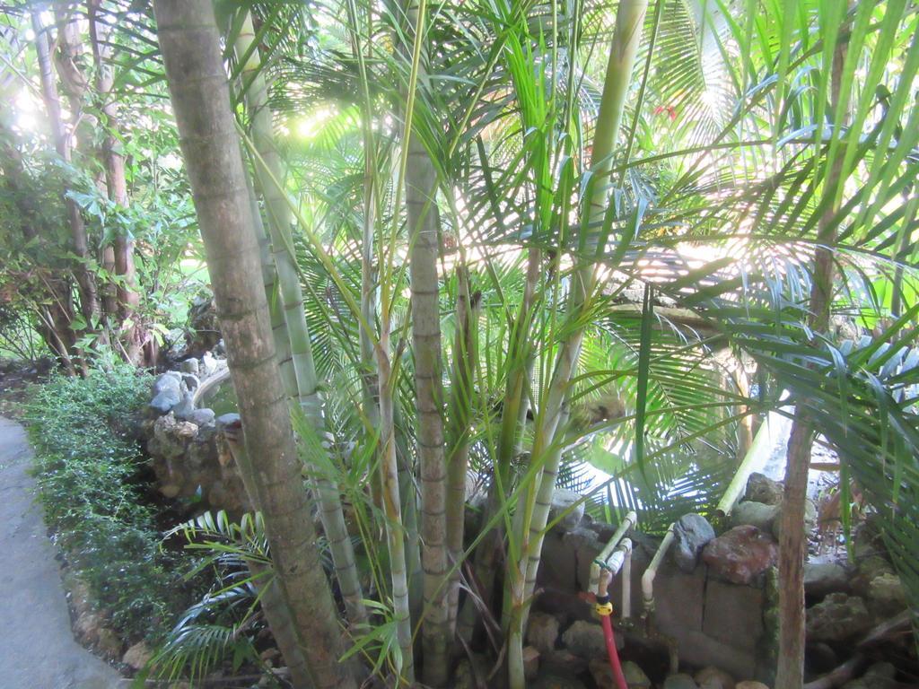 Hotel Cambri Nagua Eksteriør bilde